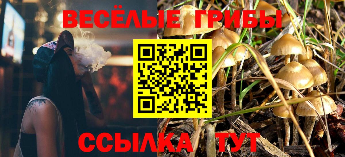 Галлюциногенные грибы MAGIC MUSHROOMS  Псилоцибиновые грибы Psilocybine cubensis  Чайковский  Вход с VPN 