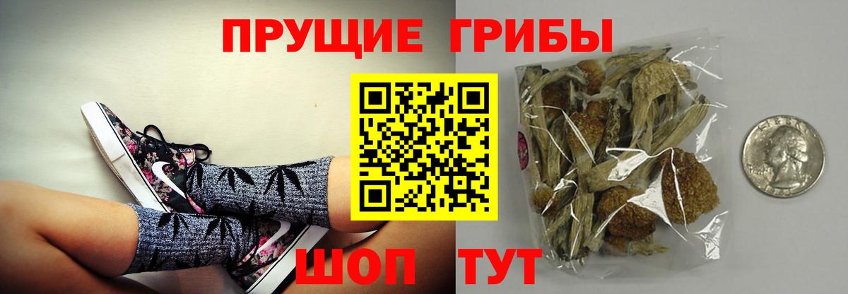 Псилоцибиновые грибы мицелий Чайковский